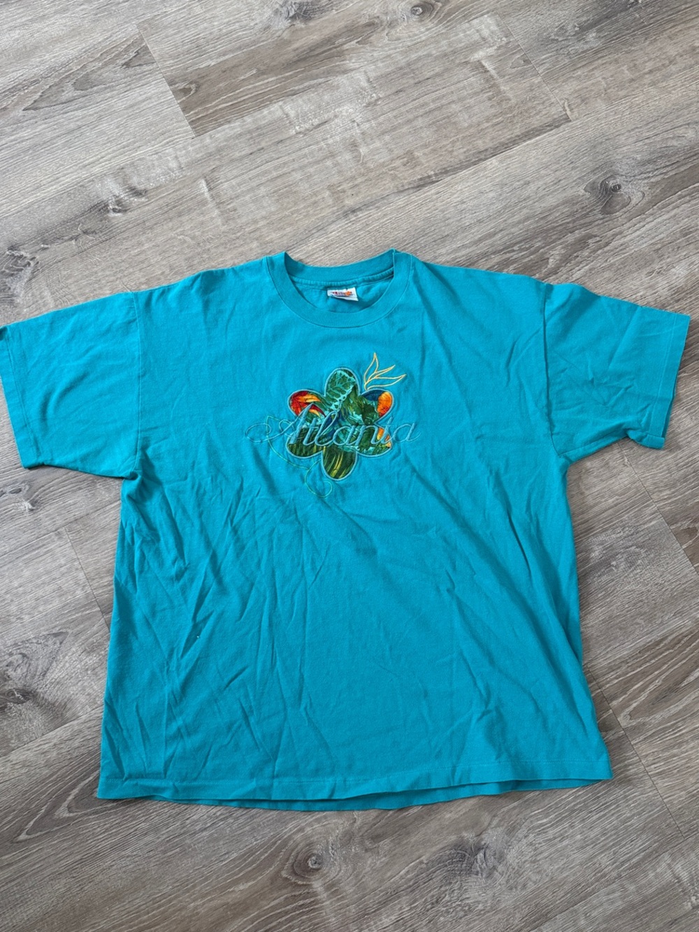Hanes 100% Preshrunk Cotton Turquoise Graphic Tee